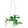 Eva Solo Hanging Selfwatering Flower Pot - Image 4