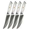 Minimal Damascus Steak Knife Set of 4