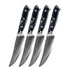 Minimal Damascus Steak Knife Set of 4 - Image 4
