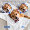 YI H60 Home Security WiFi 2K Camera - Image 9