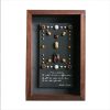 Framed Insect Specimen - Image 7
