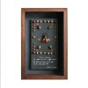 Framed Insect Specimen - Image 5