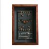 Framed Insect Specimen - Image 6