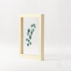 Leaf on Glass Framed Wall Art - Image 11