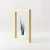 Leaf on Glass Framed Wall Art - Image 10