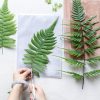 Leafy Plant Specimen - Image 4