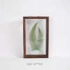 Leafy Plant Specimen - Image 7