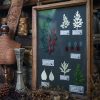 Plant Specimen Inspired Decorative Frame - Image 3