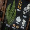 Plant Specimen Inspired Decorative Frame - Image 4