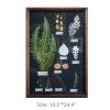 Plant Specimen Inspired Decorative Frame - Image 7