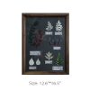 Plant Specimen Inspired Decorative Frame - Image 6