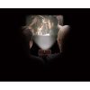 DIY Smartphone Projector 2.0 - Image 2